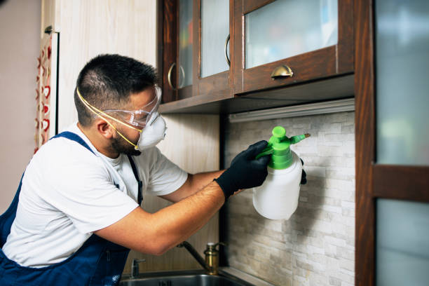 Pest Control for Restaurants in West Mifflin, PA