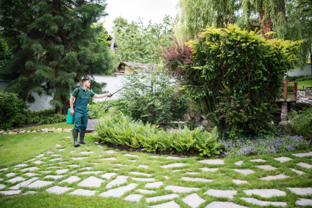 Best Wasp Removal Services  in West Mifflin, PA