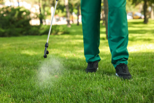 Best Pest Control Near Me in West Mifflin, PA