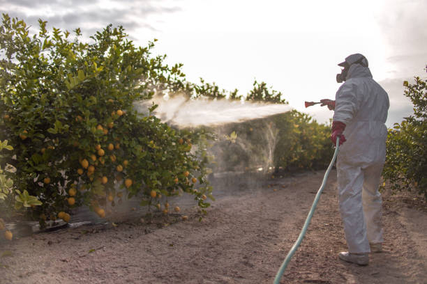 Wasp Removal Services in West Mifflin, PA
