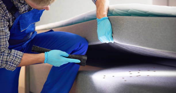 Best Flea Control Services  in West Mifflin, PA